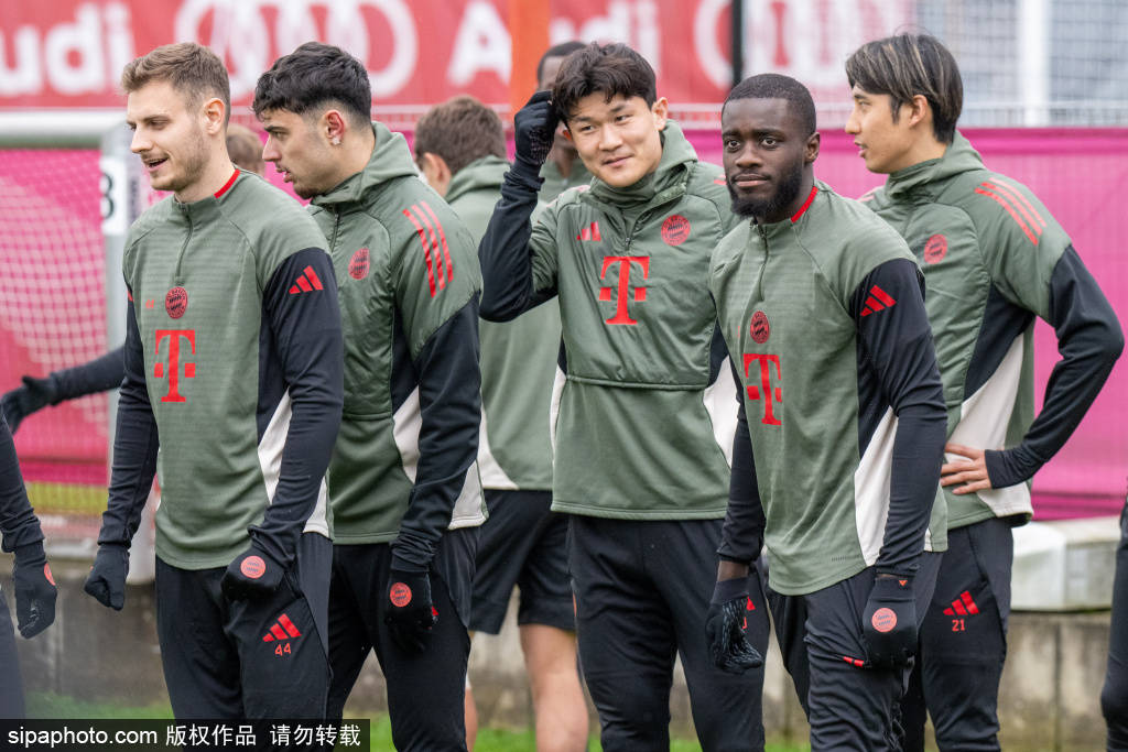 凯恩受伤疑云:拜仁慕尼黑在欧冠关键时刻的隐患与应对策略